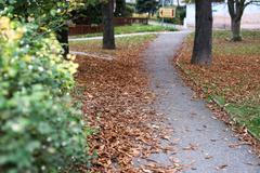 Podzim, spadané listí, počasí