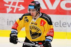 Martin Hanzl (hokejista Litvínova)