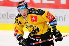 Tomáš Matoušek (hokejista Litvínova)