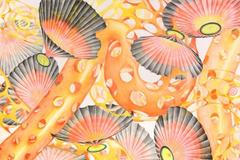 Kresby Pavla Opočenského