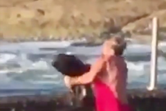 Žena zachránila žraloka. Musela ho ale chytit do rukou