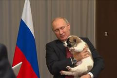 Putin dostal od turkmenského prezidenta Albaje. Jmenuje se Věrný