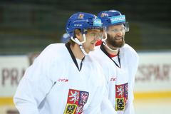 Sraz hokejové reprezentace, prosinec 2017