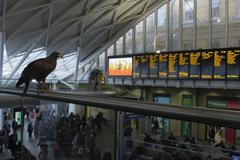 Dravci hlídají Londýn. Místní je najali na odhánění holubů z nádraží a památek