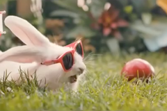 Ministerstvo radí ve videu Polákům, jak zvýšit porodnost