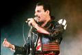 Freddie Mercury We Are the Champions