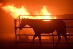 Kalifornské požáry se rychle šíří. Neustále je rozdmýchává silný vítr