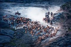 Siena International Photo Awards 2017