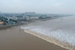 Nejdelší přílivová vlna světa nečekaně dosáhla začátkem listopadu nejvyšší úrovně