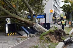 Bouře Xavier Německo