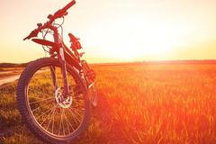 CSOB pojistovna uvodni foto