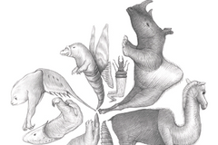 Lingvistické pohádky