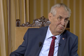Zeman: Nechci po Babišovi 101 hlasů, protože by ho vydírali kvůli korýtkům