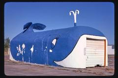 Podivuhodný svět amerických dálnic