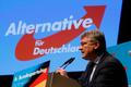 Alternativa pro Německo (AfD), sjezd v Kolíně, Jörg Meuthen