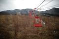Fotogalerie / Reuters / Jižní Korea / Goseong/ Opuštěný ski-areál