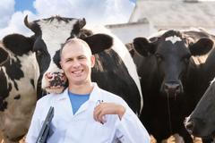 Jen pár stovek krav nakrmí celý svět, říká tvůrce umělého masa