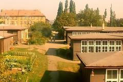 Ukázka z filmu Obecná škola