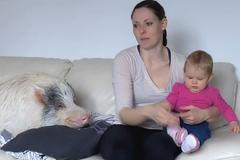 Prasomilové - Kamila Vaštová