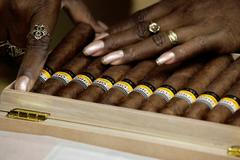 Festival doutníků v Havaně