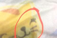 Muslimové proti Pampers