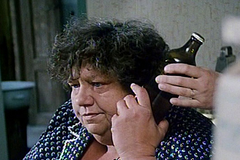 Slunce, seno a pár facek. To byly doby, kdy měl Troška energii