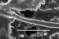 Čeští vědci prokázali, že ledové květy neničí ozonovou vrstvu
