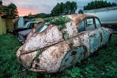 Vladimír Cettl Vraky