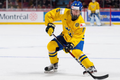 Rasmus Dahlin - švédský hokejista