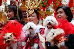 Oslavy čínského nového roku