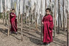 Z výstavy Václava Šilhy Na vlnách fotografie