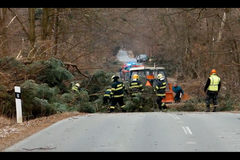 Desítky popadaných stromů. Silný vítr zaměstnal hasiče na Olomoucku