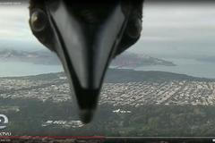 Pták v záběru úplně zrušil předpověď počasí