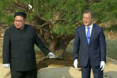 Kim Čong-un přijel limuzínou, pak s jihokorejským prezidentem zasadil mírovou borovici