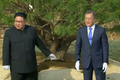 Kim Čong-un přijel limuzínou, pak s jihokorejským prezidentem zasadil mírovou borovici