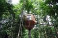 Treehouse, Lavit