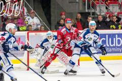 TELH: Třinec vs. Kometa