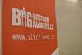 Cena Velkého Bratra, Big Brother Award