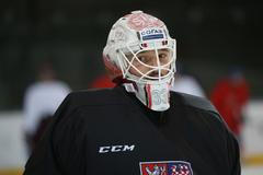 Česká reprezentace před ZOH 2018 (Furch)