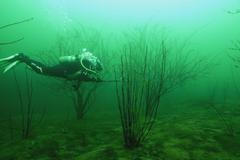 Magické hlubiny seriál