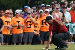 golf, 2018, Palm Harbor, Tiger Woods
