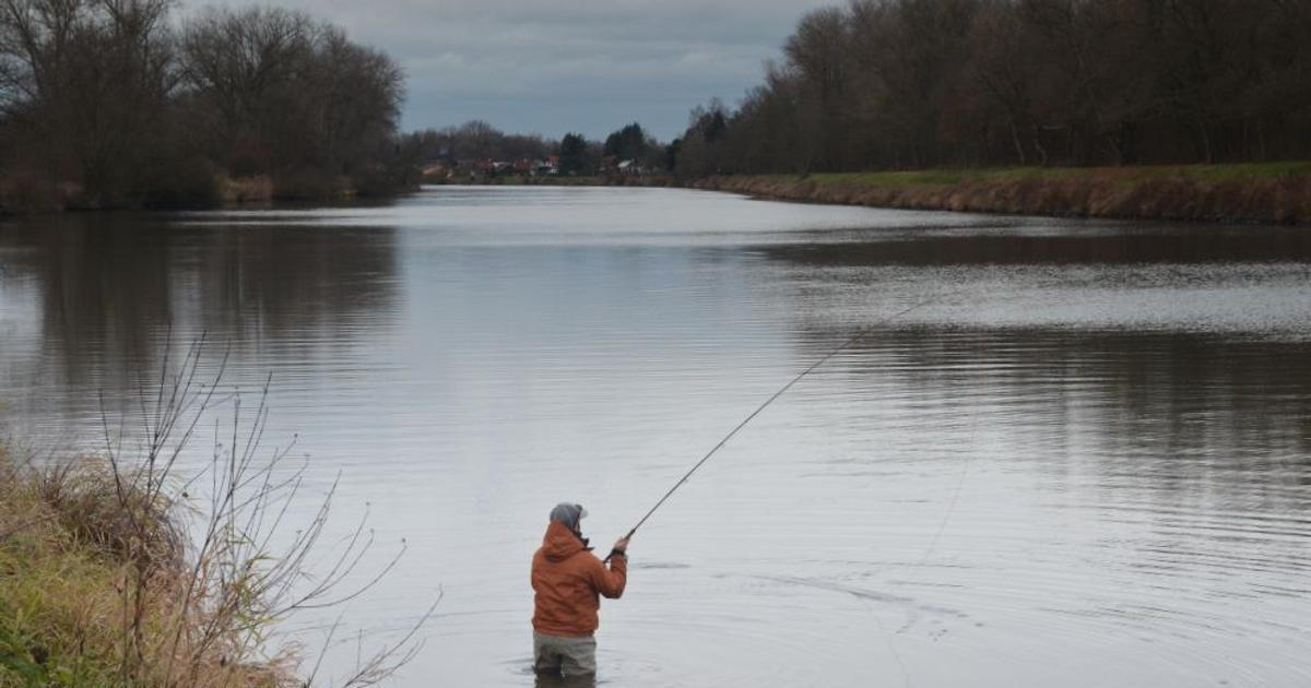 Rybář zaútočil na kontrolora, který chtěl vidět jeho povolení. Vláčel ho na kapotě auta