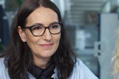 Udženija: Libeňský most už měl být zbouraný, v Praze se tři roky nic nedělalo, město nefunguje