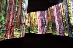 Obrazovka se sroluje jako noviny. LG odhalila v Las Vegas první OLED rolovací displej na světě