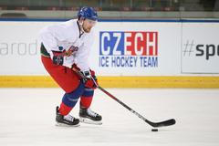 Česká reprezentace před ZOH 2018 (Sekáč)