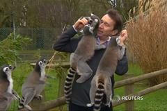 Reportér BBC v obležení lemurů