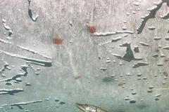 Vítězné fotografie ze soutěže Czech Nature Photo