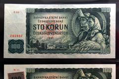 Měnová odluka 1993