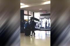 Muž přišel na letiště s pávem na rameni. Aerolinky domácího mazlíčka odmítly odbavit