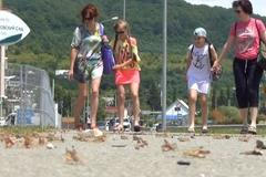 Kobylky na každém rohu. Létající hmyz v létě 2017 zamořil ruské lázeňské město Soči